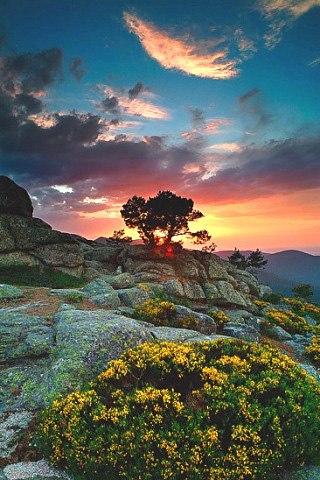 855.DAX-Tipp-Spiel **Do.** 21.08.08-17.45 Uhr 181147