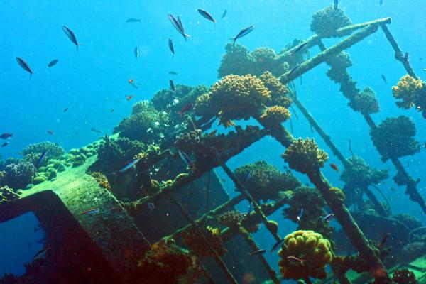 Conergy, Pro und Contra... 424381