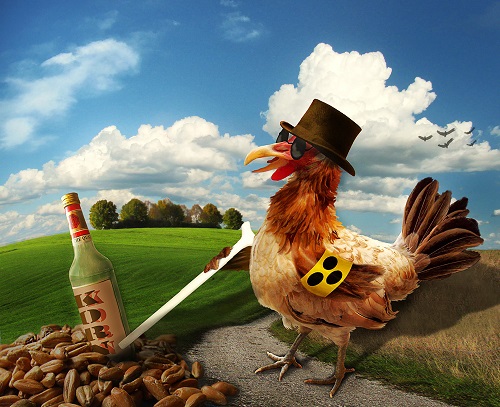 netcents, die neue online zahlungsplattform 1196585