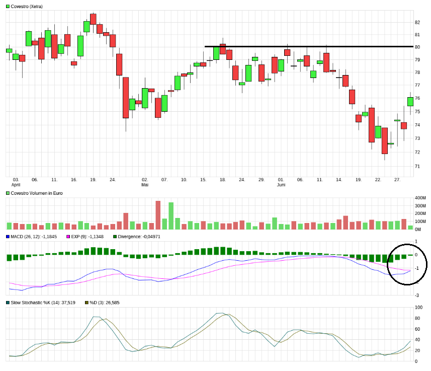 Erstauflage - wikifolio - Trading Baerenstark 1062325