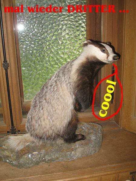 961.DAX Tipp-Spiel,Freitag,23.01.09, 17.45 Uhr 212107