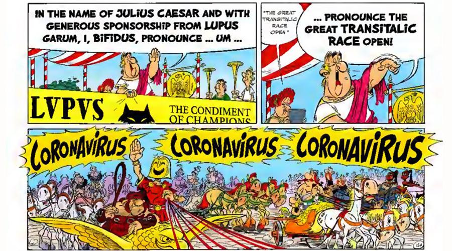 Der USA Bären-Thread 1179994