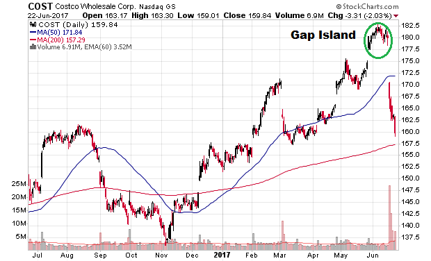 Der USA Bären-Thread 997378