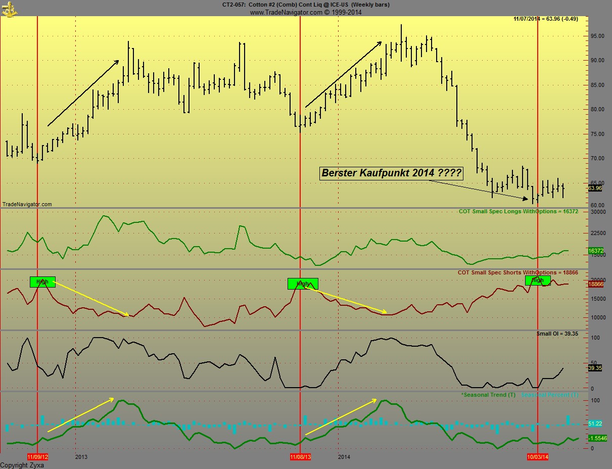 Baumwolle long wird interessant 771746