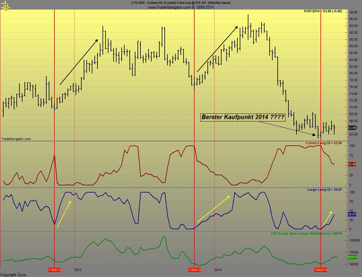 Baumwolle long wird interessant 771747