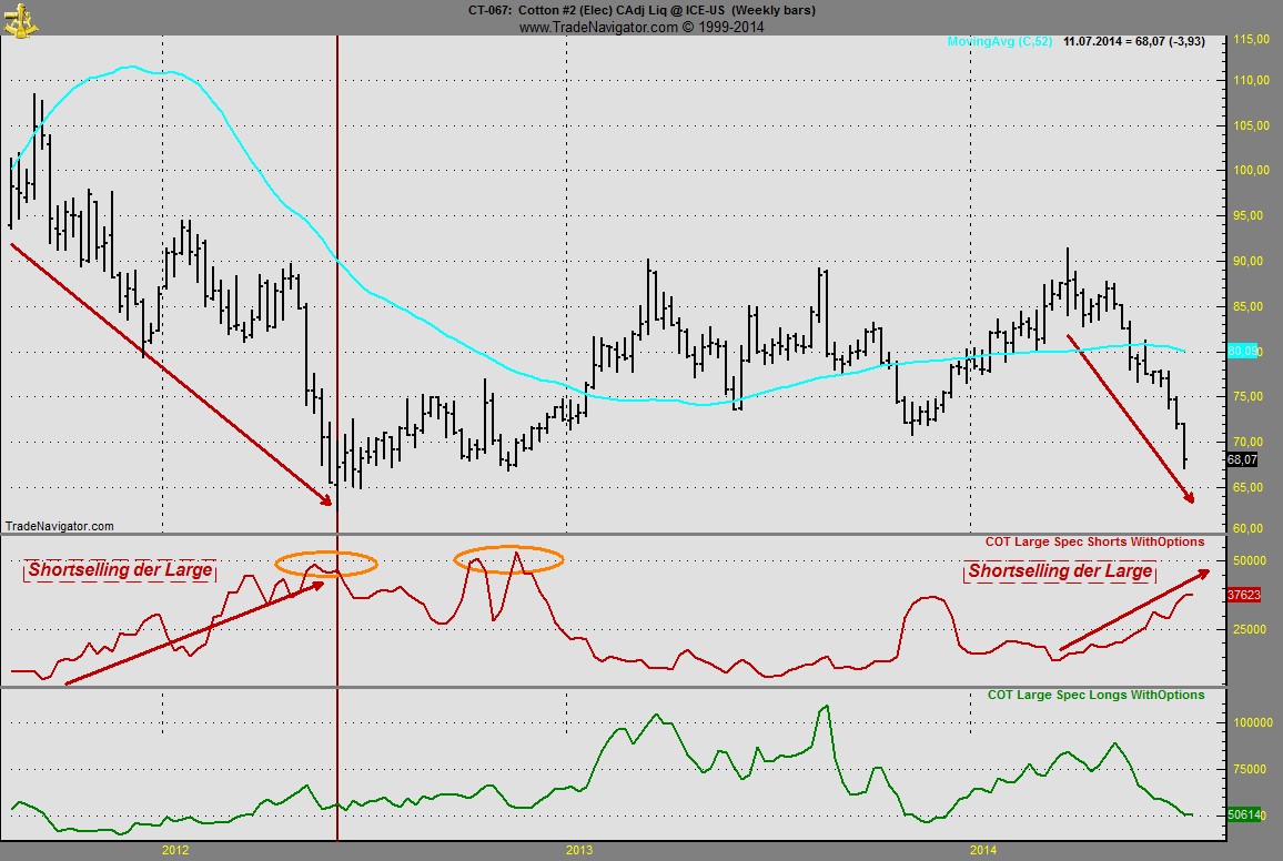 Baumwolle long wird interessant 740210