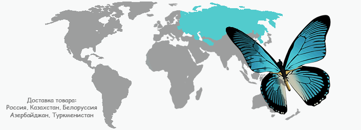 INJEX AG - Come-back zum Weltmarktführer 603483