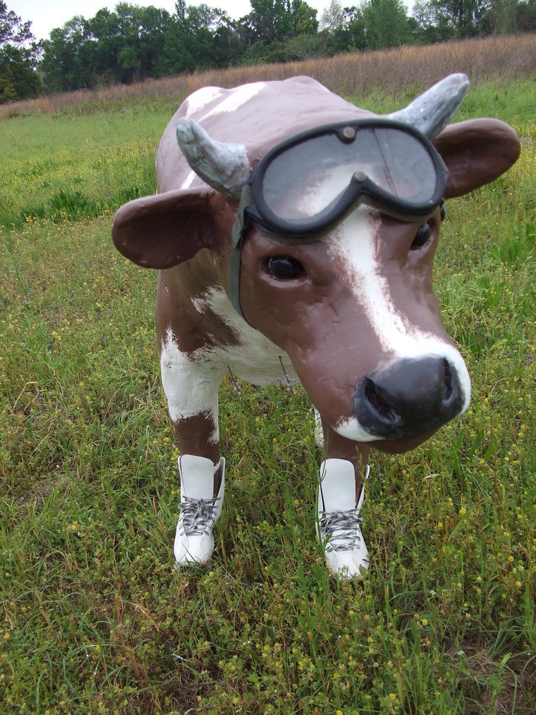 Steinhoff International Holdings N.V. 1064524