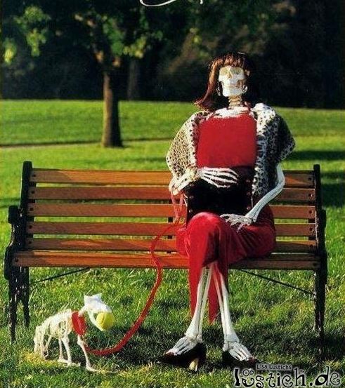 Quo Vadis Dax 2013 - Up, dank Liquidität 655637