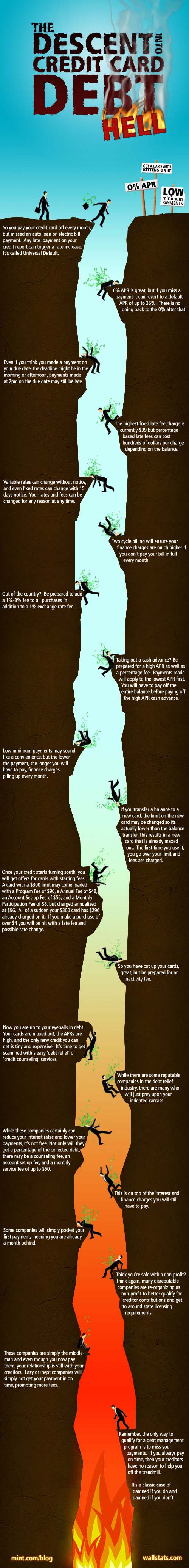 Der USA Bären-Thread 241601