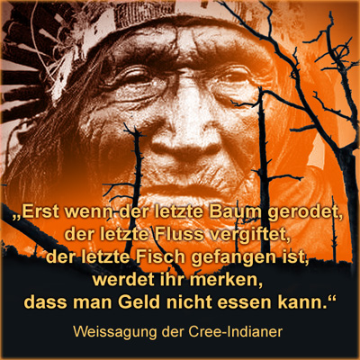 Der USA Bären-Thread 1282693