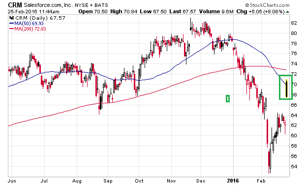 Der USA Bären-Thread 896694