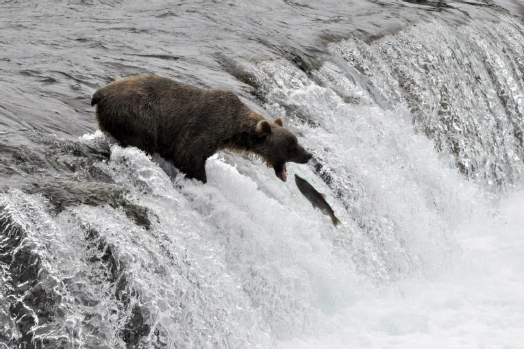 Welt Inflation fällt auf 5-Jahres Tief 814284