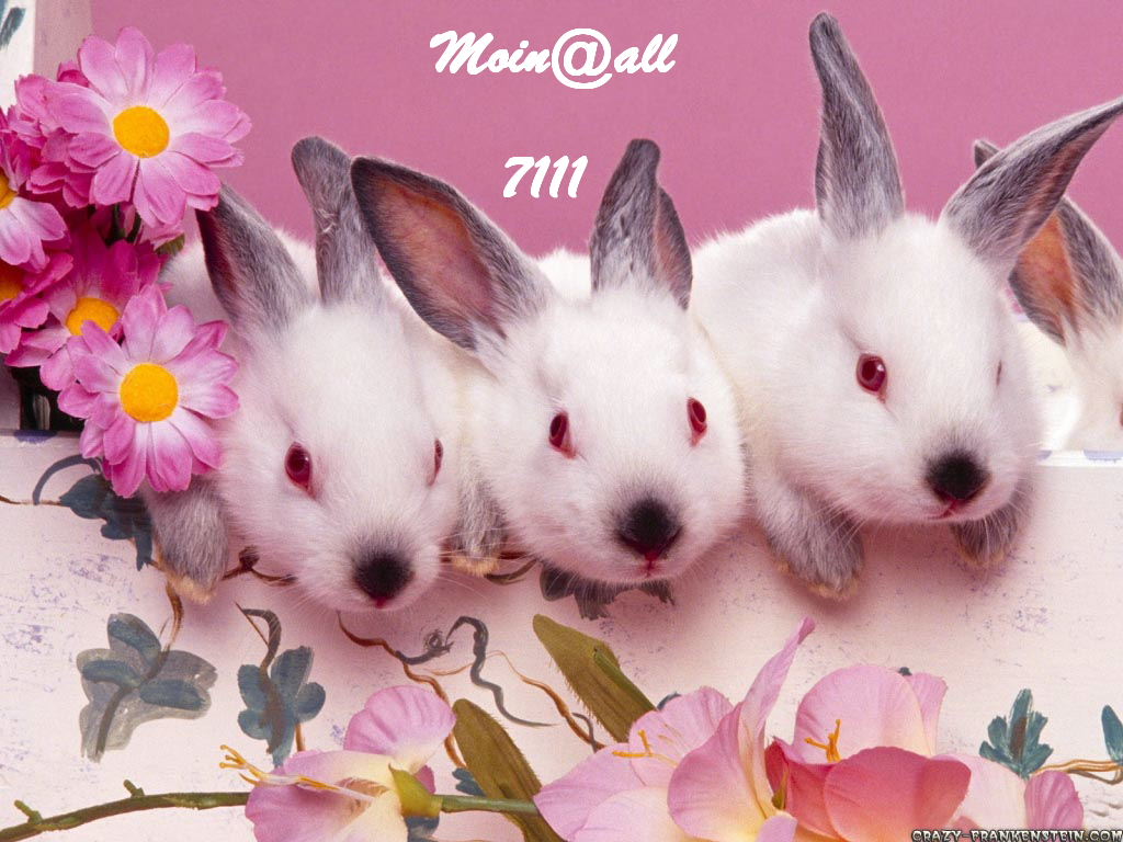 1.451.DAX Tipp-Spiel, Donnerstag, 23.12.10 367985