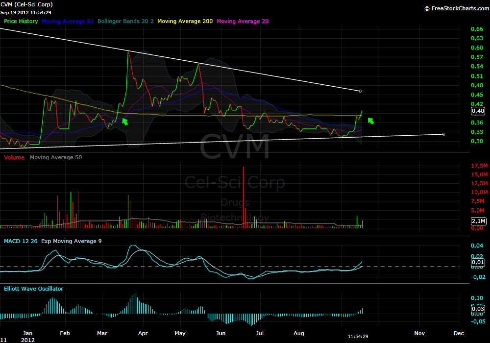 Ausbrecher nach NEWS(H5N1) 538370