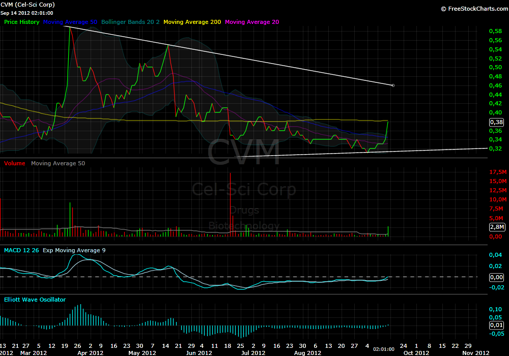 Ausbrecher nach NEWS(H5N1) 537208