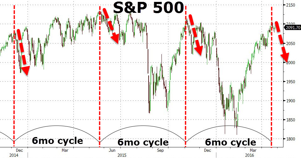 Der USA Bären-Thread 910535