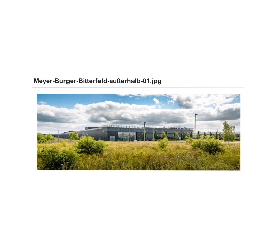 Meyer Burger Technology AG nach Fusion mit 3S 1217186