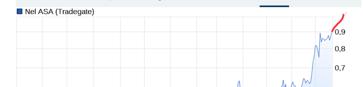 Nel ASA Das Forum für Realisten 1113722