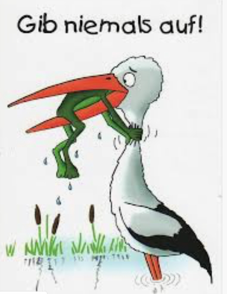 Netcents Technology Thread moderiert A2AFTK 1071528