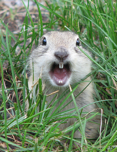 1.288.DAX Tipp-Spiel, Montag, 10.05.10 318861