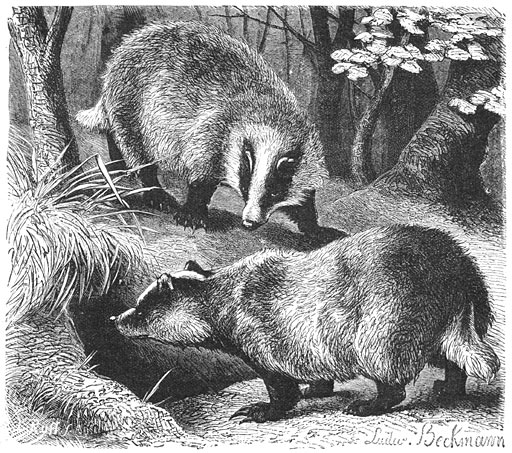 1.409.DAX Tipp-Spiel, Dienstag, 26.10.10 353564