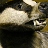 672.DAX Tipp-Spiel, Mittwoch, 28.11.07 133542