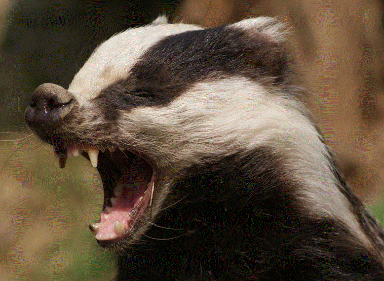 Quo Vadis Dax 2012 - Krise ohne Ende? 473354