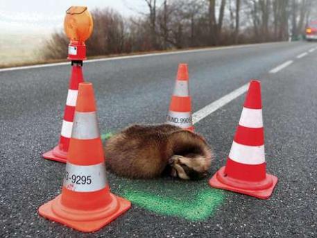 Quo Vadis Dax 2011 - All Time High? 471360