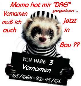 1.229.DAX Tipp-Spiel, Freitag, 12.02.10 298954