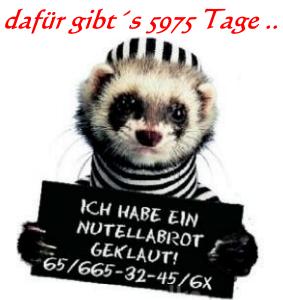 1.204.DAX Tipp-Spiel, Freitag, 08.01.10 289614