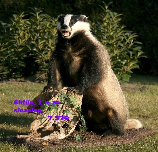 603.DAX Tipp-Spiel, Donnerstag, 23.08.07 116313