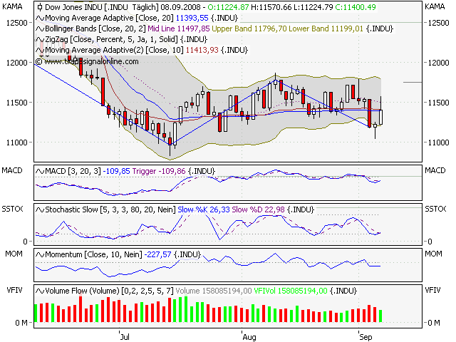 Die Bullen scharren gar nicht mit den Hufen, 184995