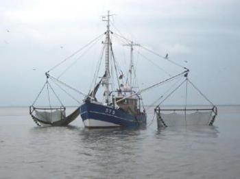 0fDAX Strong Long!! 303591