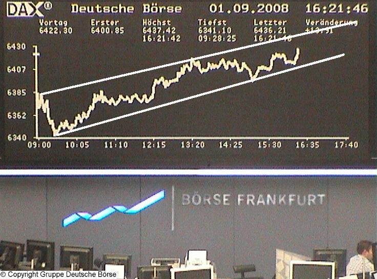Die Bullen scharren gar nicht mit den Hufen, 183580
