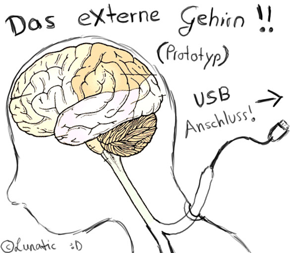 QV ultimate 2012 565363