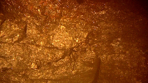 Wenn das Gold redet, dann schweigt die Welt! 398694