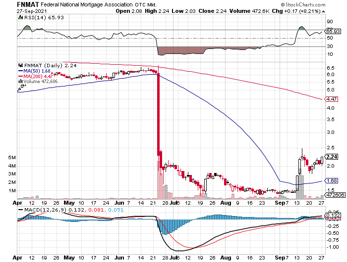 Fannie Mae - Chance auf Verdreifachung bis Juli 1276251