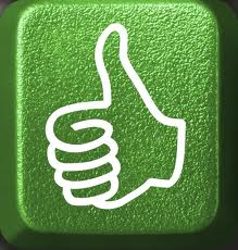 PAION Eine Fledermaus lernt wieder fliegen 733689