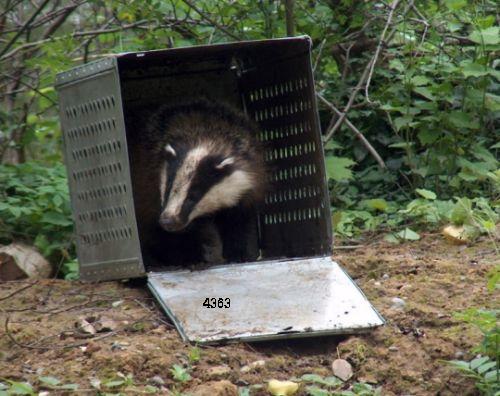 926.DAX Tipp-Spiel *Freitag* 28.11.08, 17.45 Uhr 202257