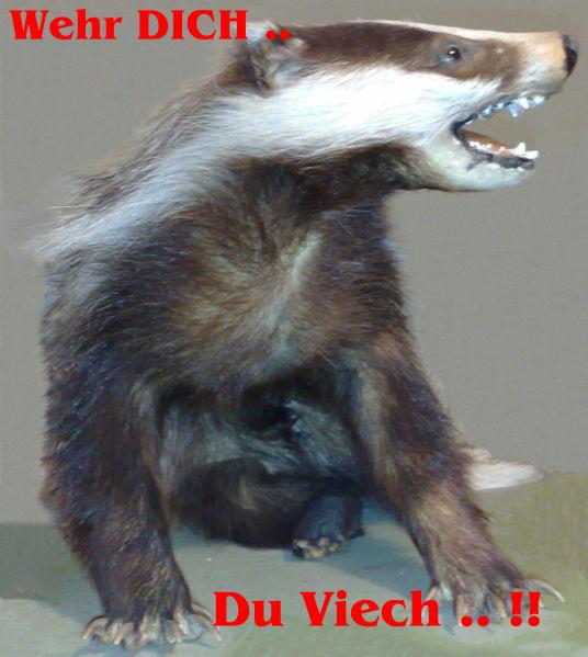 957.DAX Tipp-Spiel, Montag,19.01.09, 17.45 Uhr 211254