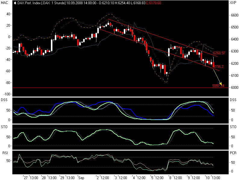 Die Bullen scharren gar nicht mit den Hufen, 185359