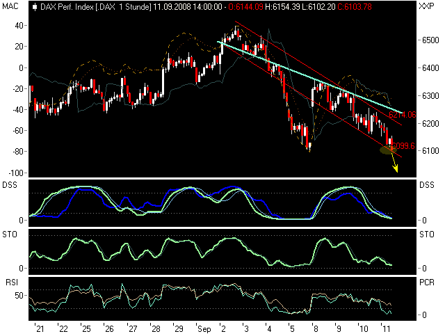 Die Bullen scharren gar nicht mit den Hufen, 185621
