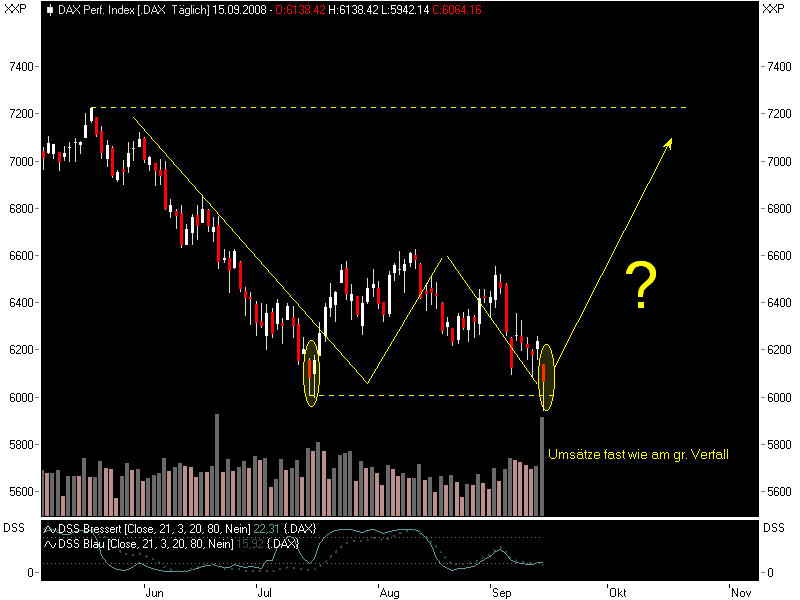 Die Bullen scharren gar nicht mit den Hufen, 186491