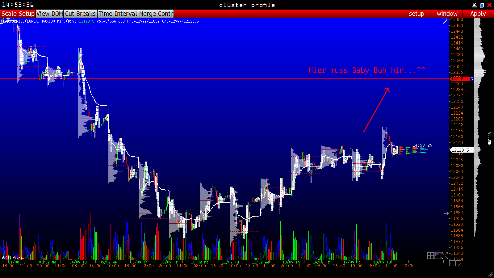 2018 QV-GDAXi-DJ-GOLD-EURUSD-JPY 1074709