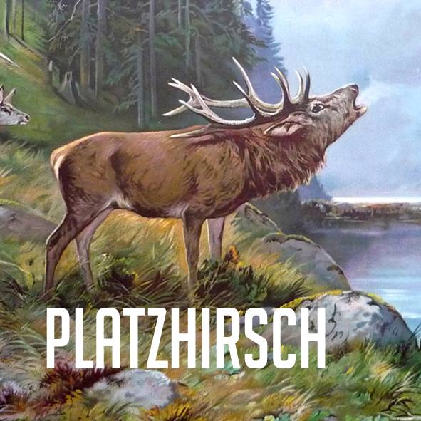 Börse ein Haifischbecken: Trade was du siehst 1283742