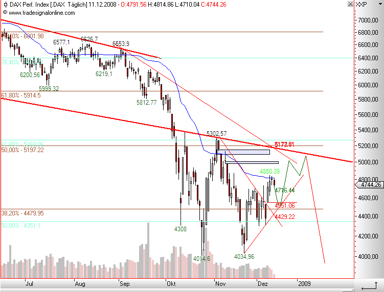 Die Bullen scharren gar nicht mit den Hufen, 205002