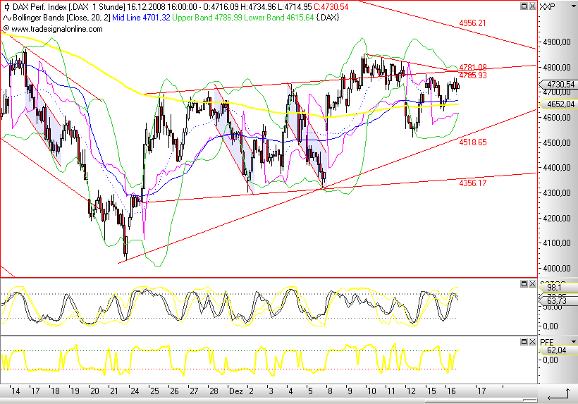 Die Bullen scharren gar nicht mit den Hufen, 205829