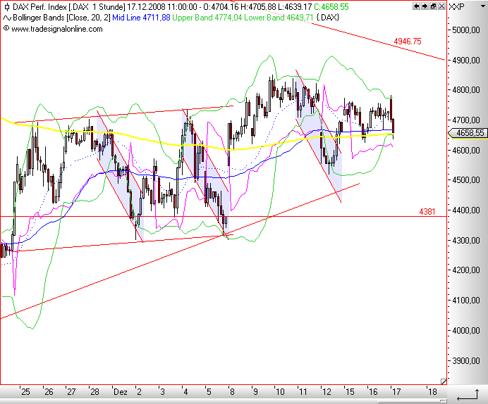Die Bullen scharren gar nicht mit den Hufen, 206017