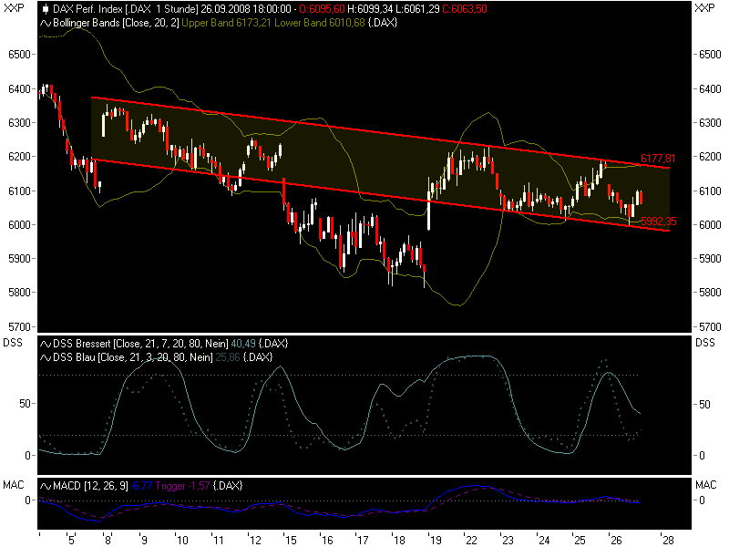 Die Bullen scharren gar nicht mit den Hufen, 188960